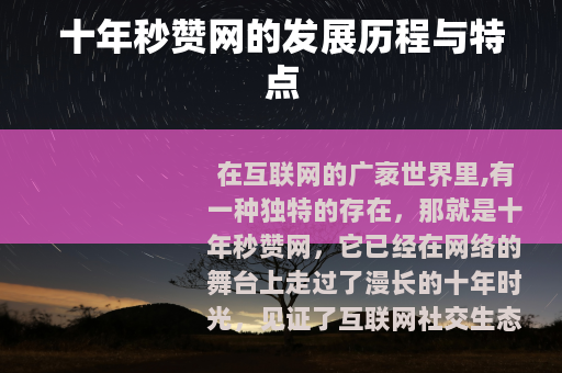 十年秒赞网的发展历程与特点