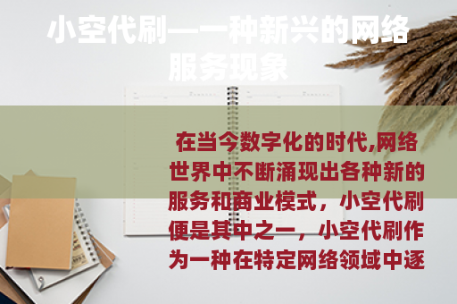 小空代刷—一种新兴的网络服务现象