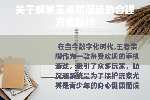 关于解除王者防沉迷的合理方式探讨