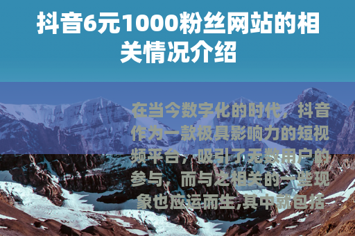 抖音6元1000粉丝网站的相关情况介绍
