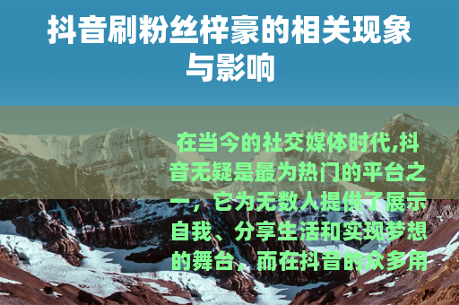 抖音刷粉丝梓豪的相关现象与影响