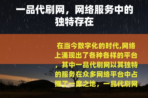 一品代刷网，网络服务中的独特存在