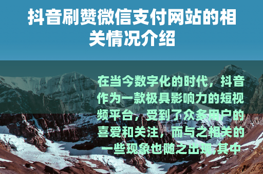 抖音刷赞微信支付网站的相关情况介绍