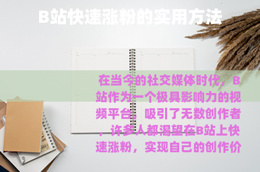 B站快速涨粉的实用方法