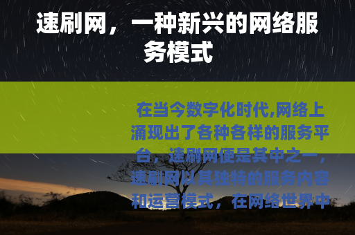 速刷网，一种新兴的网络服务模式