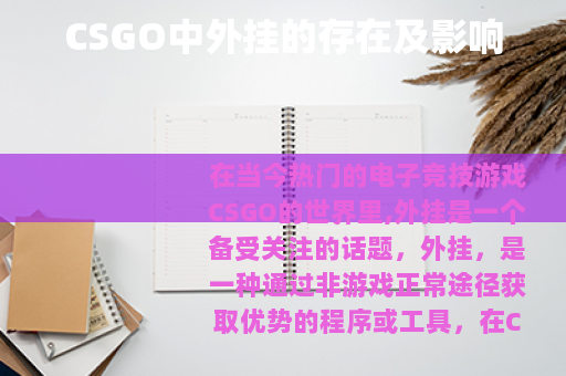 CSGO中外挂的存在及影响