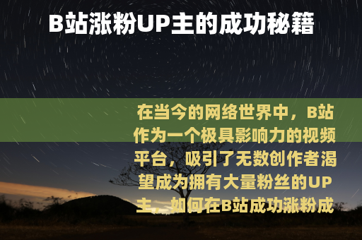 B站涨粉UP主的成功秘籍