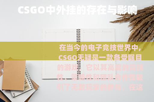 CSGO中外挂的存在与影响