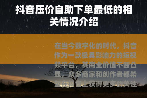 抖音压价自助下单最低的相关情况介绍