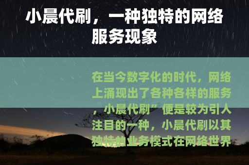 小晨代刷，一种独特的网络服务现象