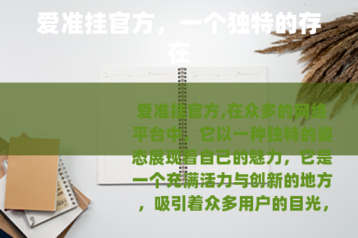 爱准挂官方，一个独特的存在