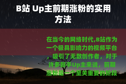 B站 Up主前期涨粉的实用方法
