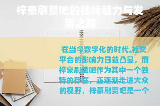 梓豪刷赞吧的独特魅力与发展之路