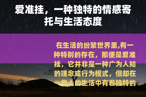 爱准挂，一种独特的情感寄托与生活态度
