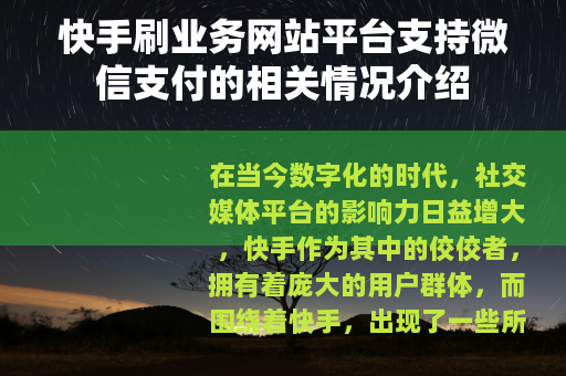 快手刷业务网站平台支持微信支付的相关情况介绍