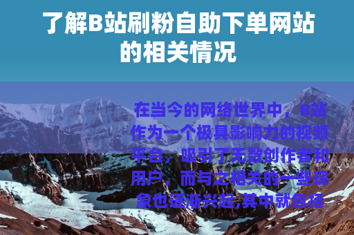 了解B站刷粉自助下单网站的相关情况
