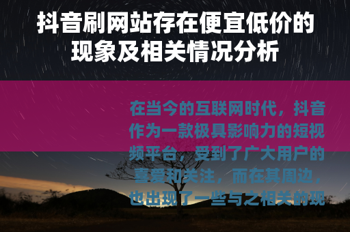 抖音刷网站存在便宜低价的现象及相关情况分析