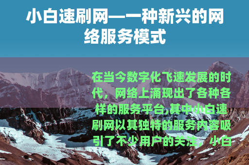 小白速刷网—一种新兴的网络服务模式