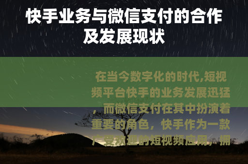 快手业务与微信支付的合作及发展现状