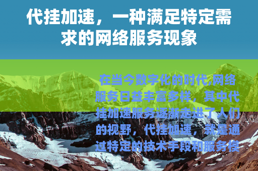 代挂加速，一种满足特定需求的网络服务现象