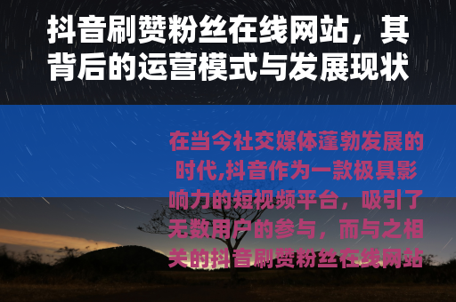 抖音刷赞粉丝在线网站，其背后的运营模式与发展现状