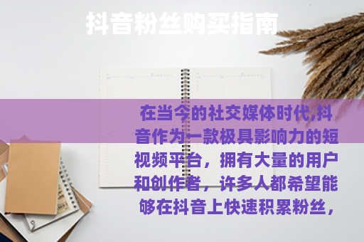 抖音粉丝购买指南