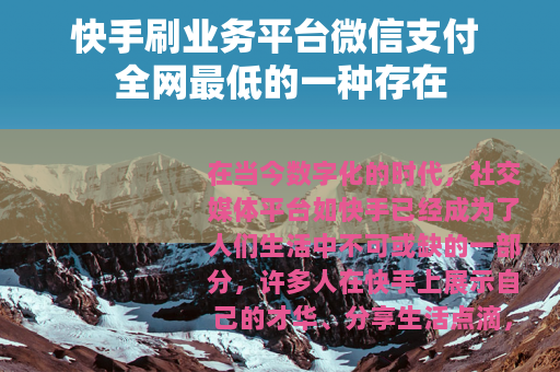 快手刷业务平台微信支付 全网最低的一种存在