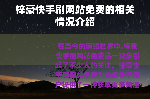 梓豪快手刷网站免费的相关情况介绍