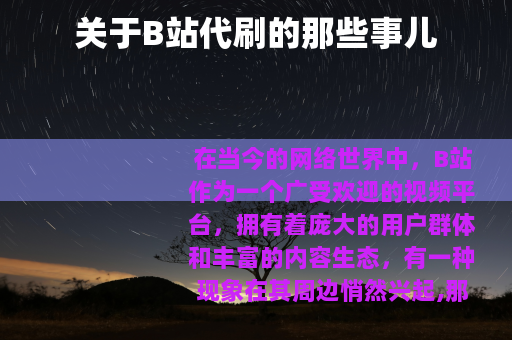 关于B站代刷的那些事儿