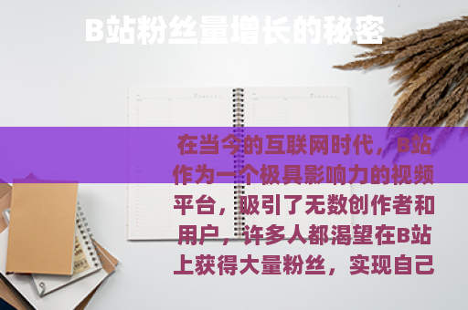 B站粉丝量增长的秘密
