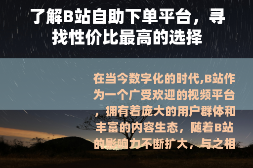 了解B站自助下单平台，寻找性价比最高的选择