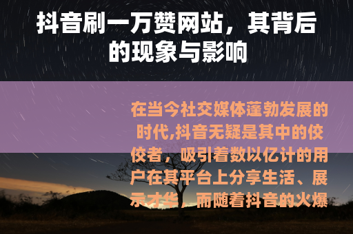 抖音刷一万赞网站，其背后的现象与影响