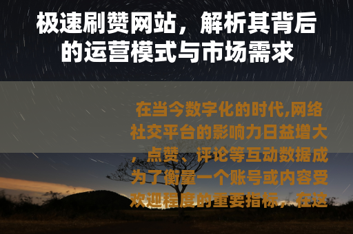 极速刷赞网站，解析其背后的运营模式与市场需求