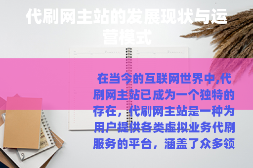 代刷网主站的发展现状与运营模式