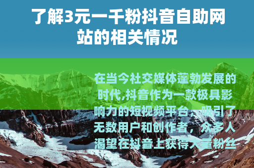 了解3元一千粉抖音自助网站的相关情况