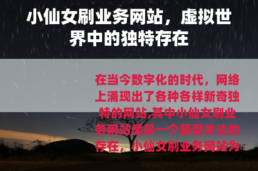 小仙女刷业务网站，虚拟世界中的独特存在