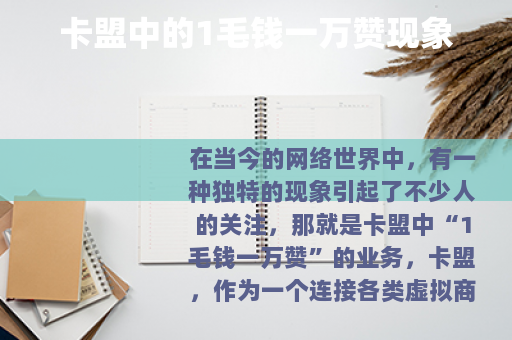 卡盟中的1毛钱一万赞现象