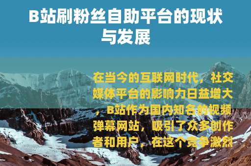 B站刷粉丝自助平台的现状与发展