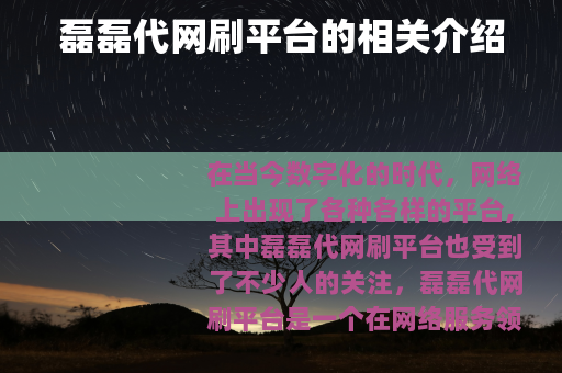 磊磊代网刷平台的相关介绍