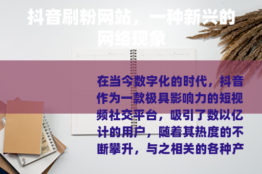 抖音刷粉网站，一种新兴的网络现象