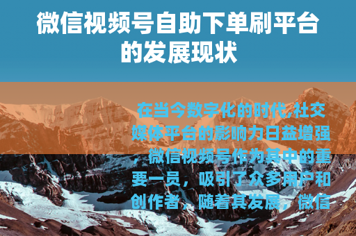 微信视频号自助下单刷平台的发展现状