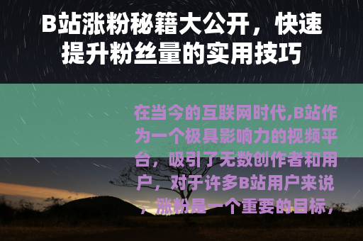 B站涨粉秘籍大公开，快速提升粉丝量的实用技巧