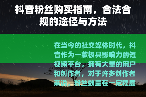 抖音粉丝购买指南，合法合规的途径与方法