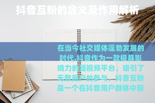 抖音互粉的含义及作用解析