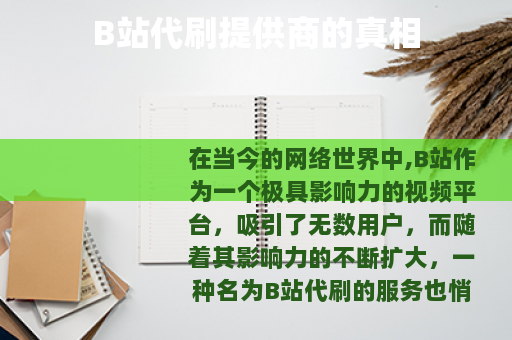 B站代刷提供商的真相