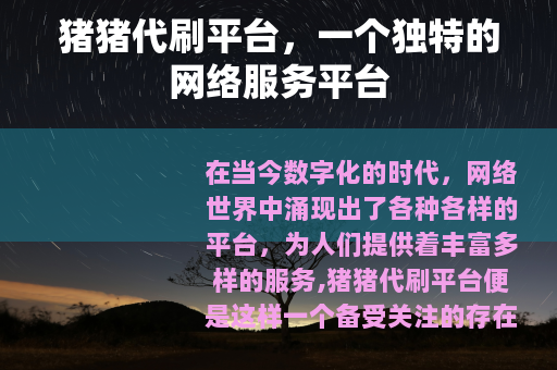 猪猪代刷平台，一个独特的网络服务平台
