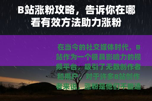 B站涨粉攻略，告诉你在哪看有效方法助力涨粉