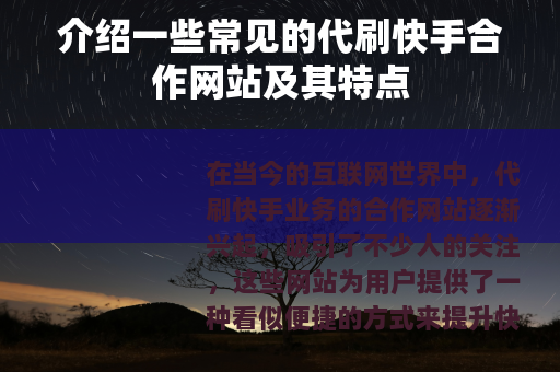 介绍一些常见的代刷快手合作网站及其特点
