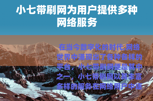 小七带刷网为用户提供多种网络服务