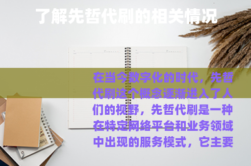 了解先哲代刷的相关情况